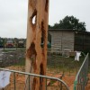 Kettensaegentage 2011